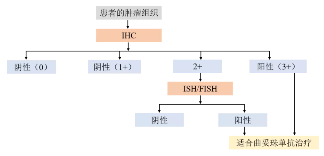 微信图片_20220119112932.png