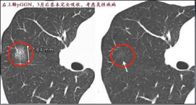 微信图片_20220427165247.png