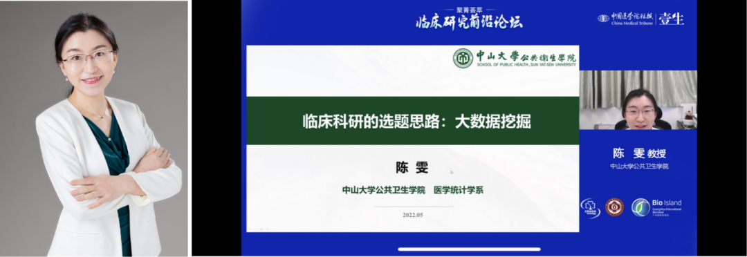 陈雯.png