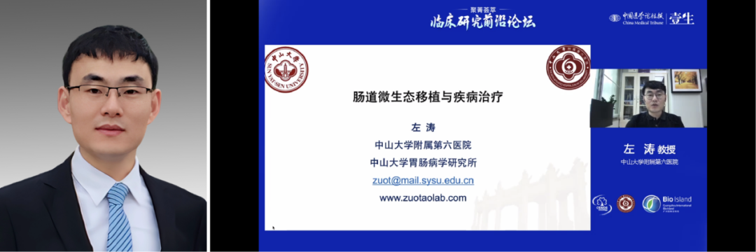 左涛.png