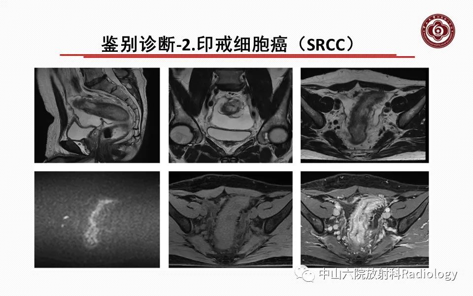 微信图片_20221125142504.jpg