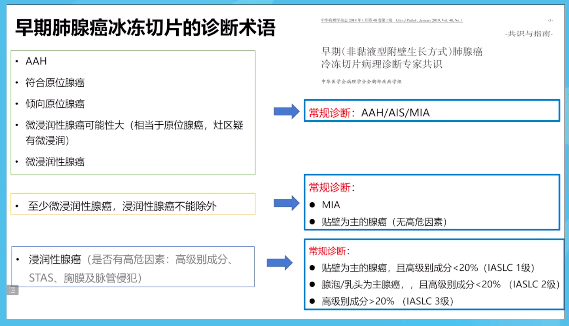 微信图片_20221216150839.png