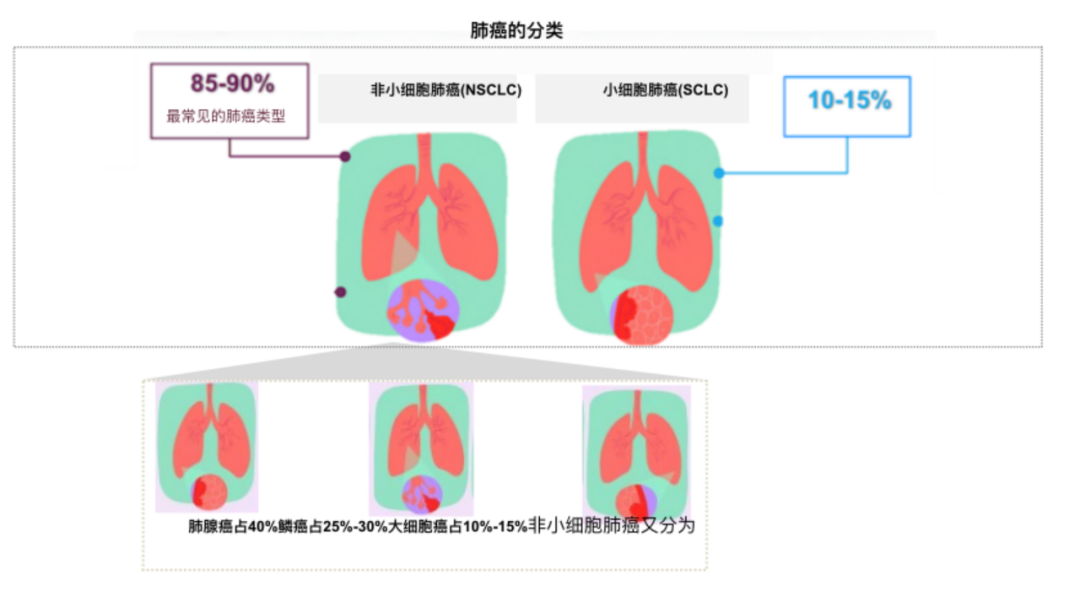 微信图片_20221117162354.png