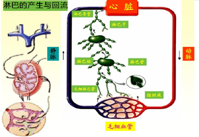 微信图片_20221117104625.png