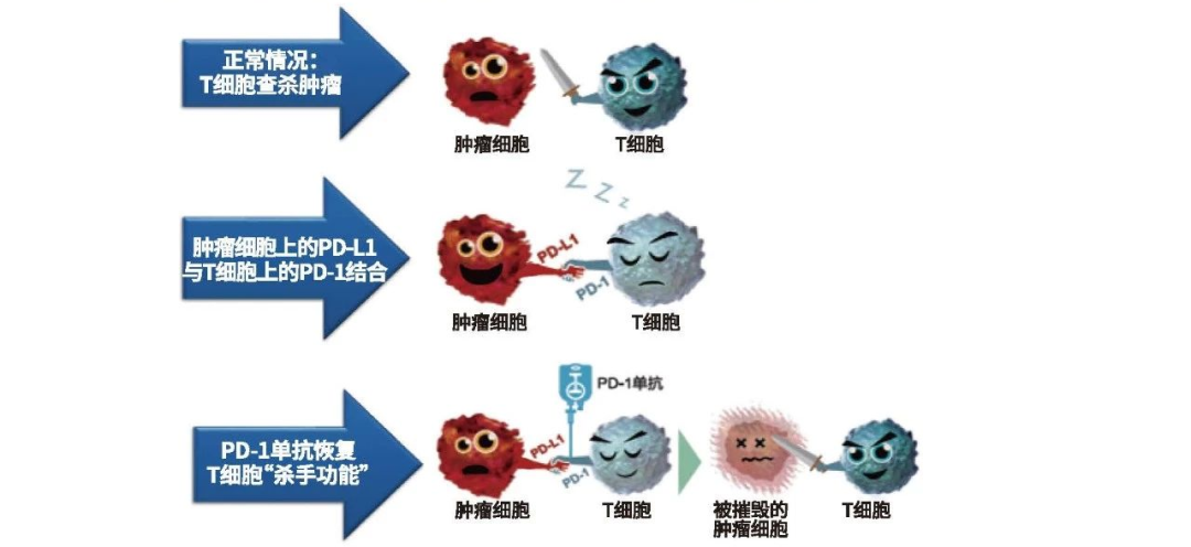 微信图片_20221117142314.png