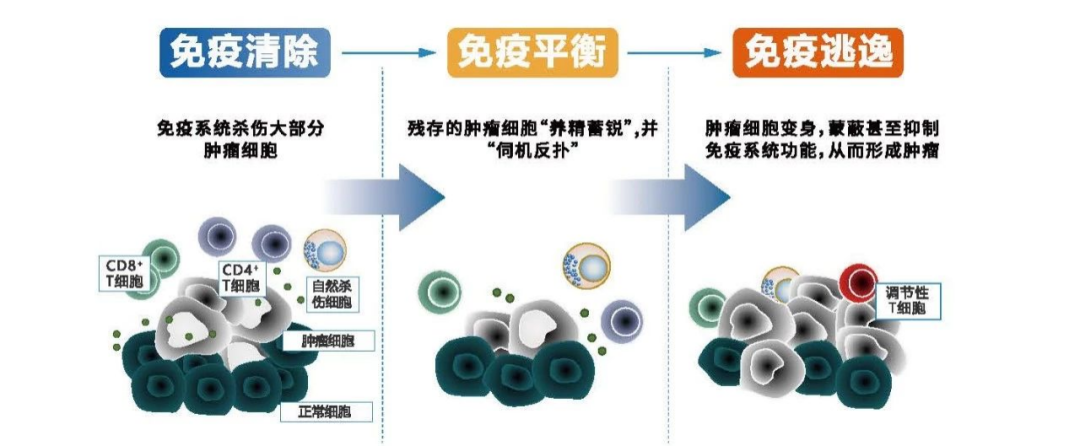 微信图片_20221117142307.png