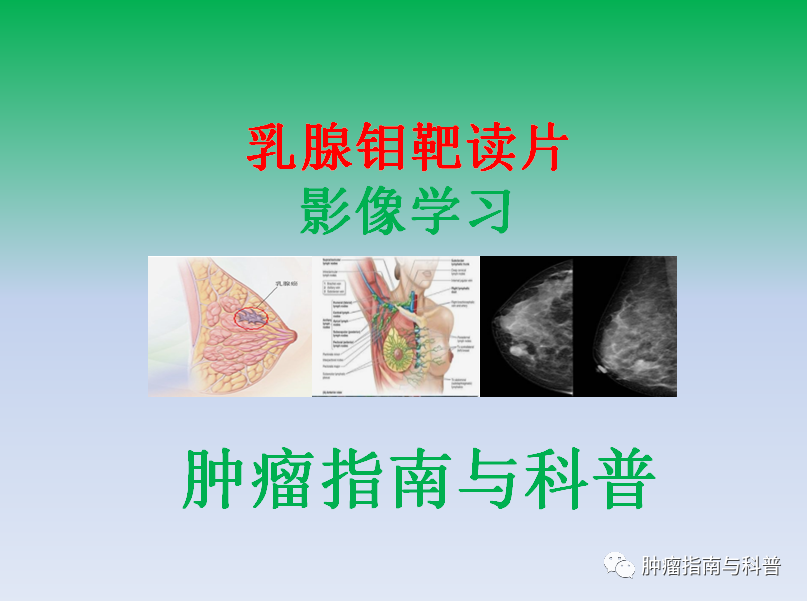 微信图片_20221216101207.png