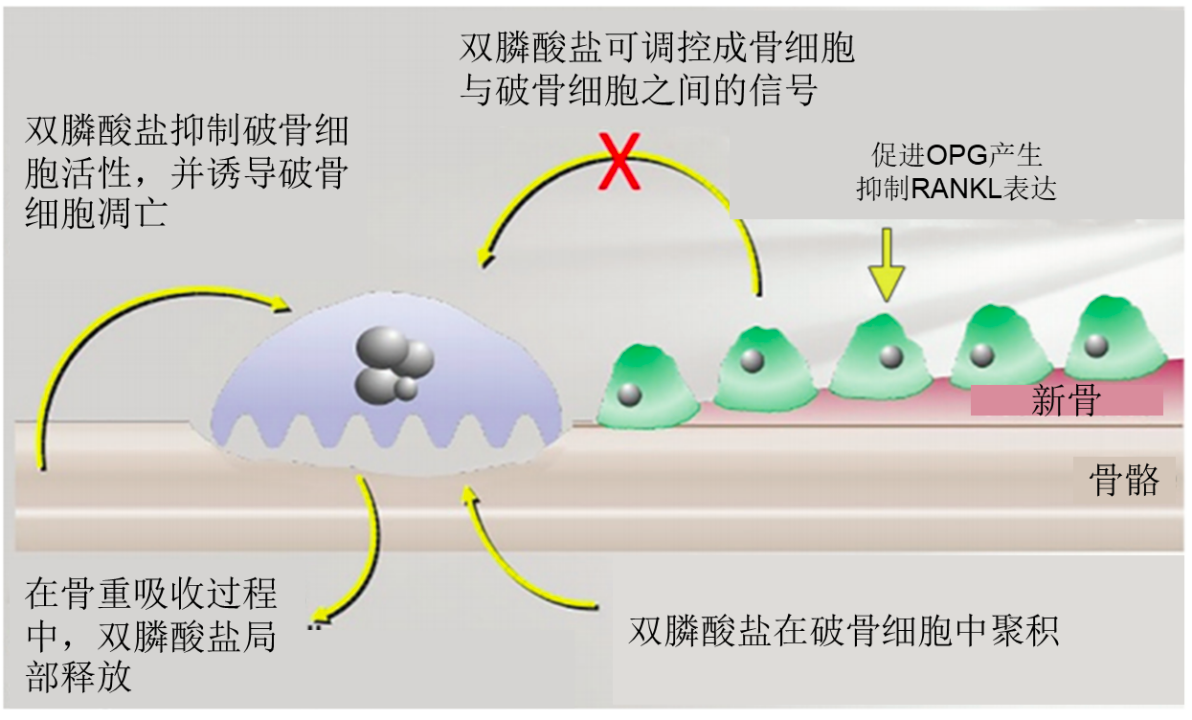 微信图片_20221108150447.png