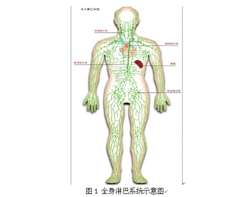 微信图片_20221117104622.png