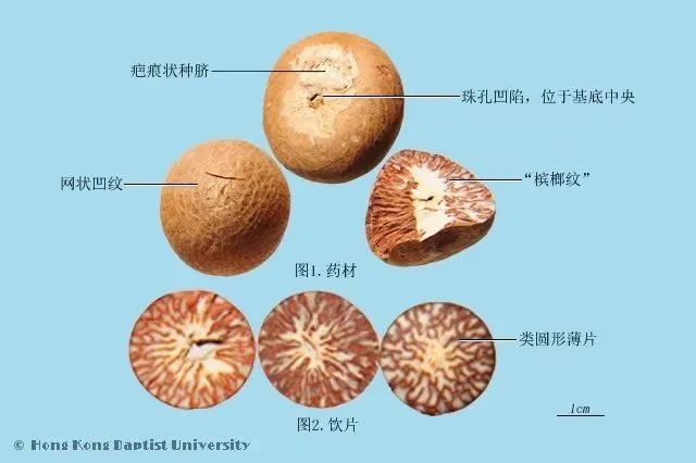 微信图片_20221214150125.jpg