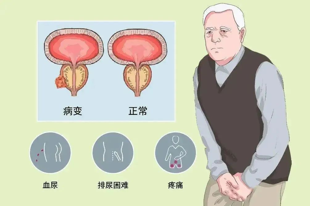 微信图片_20221117170408.jpg