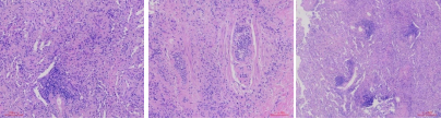 image013.png