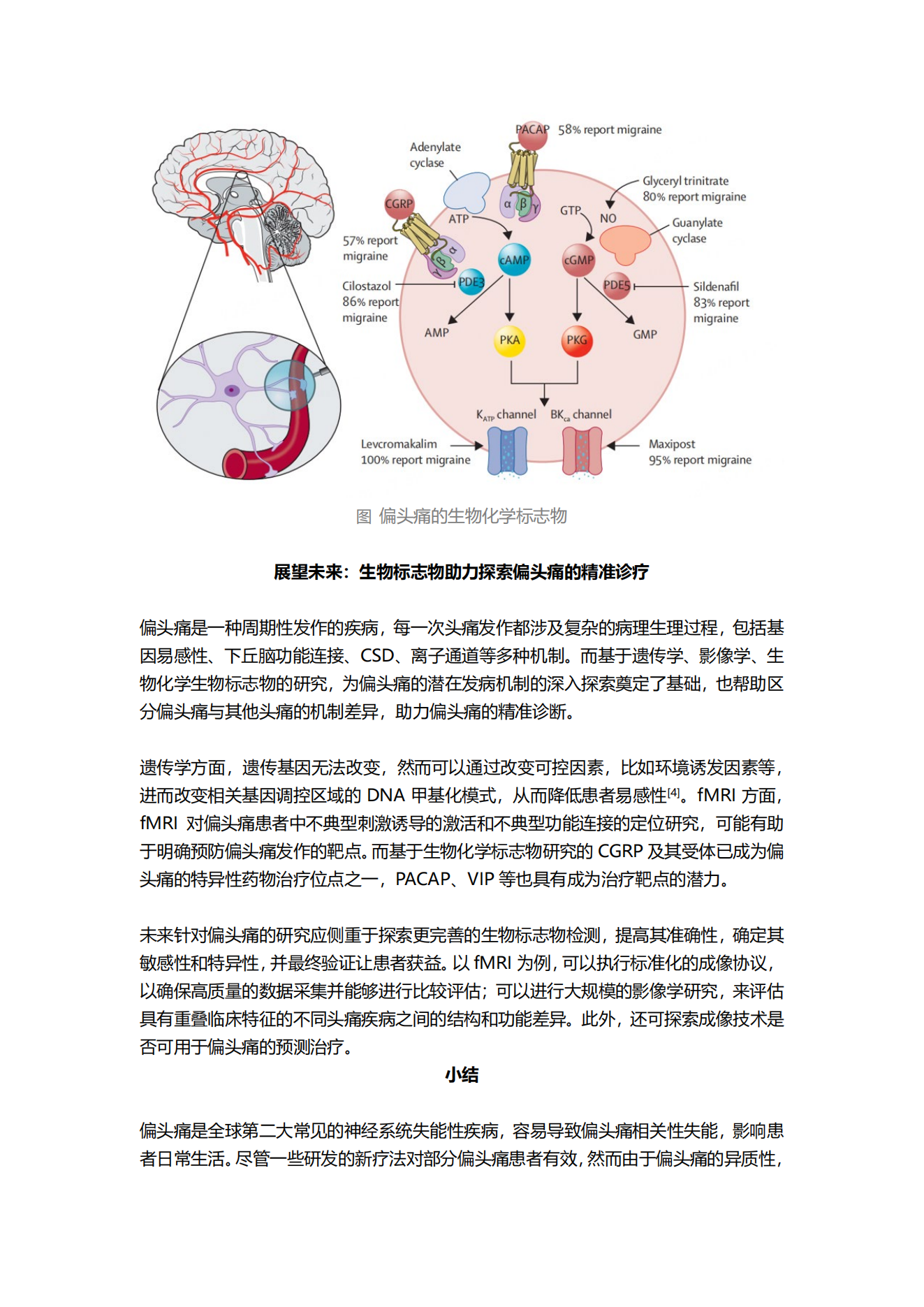 偏头痛的生物标志物研究进展-YXJ-20240104_02.png