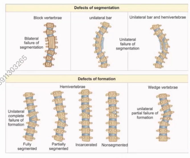 upfile 图片 32.png