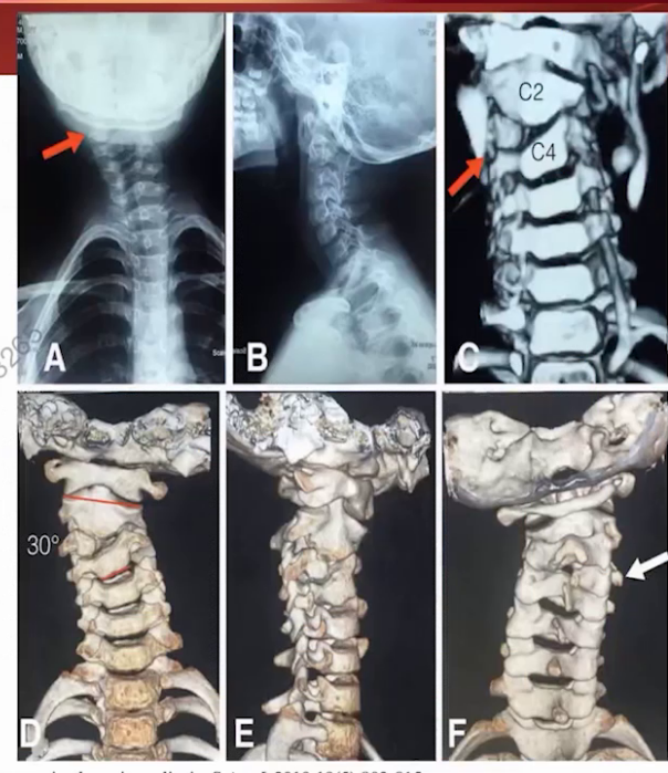 upfile 图片 34.png