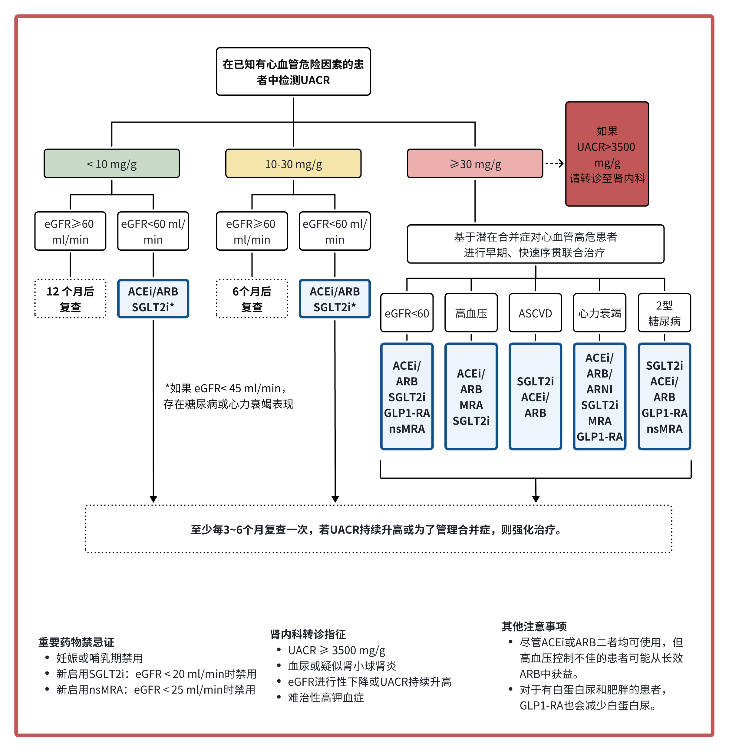 白蛋白尿管理.png