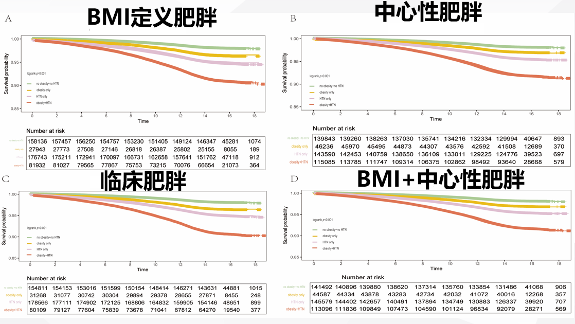 upfile 高血压合并肥胖-3.png
