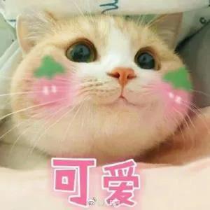 微信图片_20200720132509.jpg