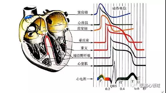 微信图片_20200818105250.jpg