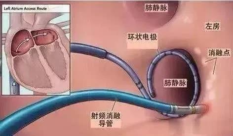 微信图片_20200811171154.jpg