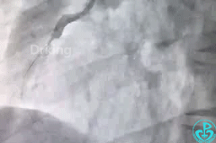 微信图片_20200713112702.gif