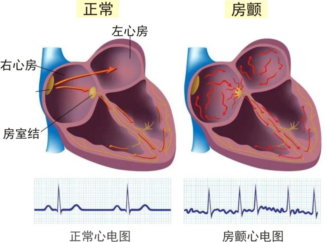 微信图片_20200727153953.jpg