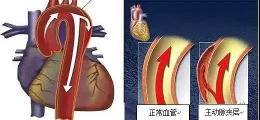 微信图片_20200811133710.jpg