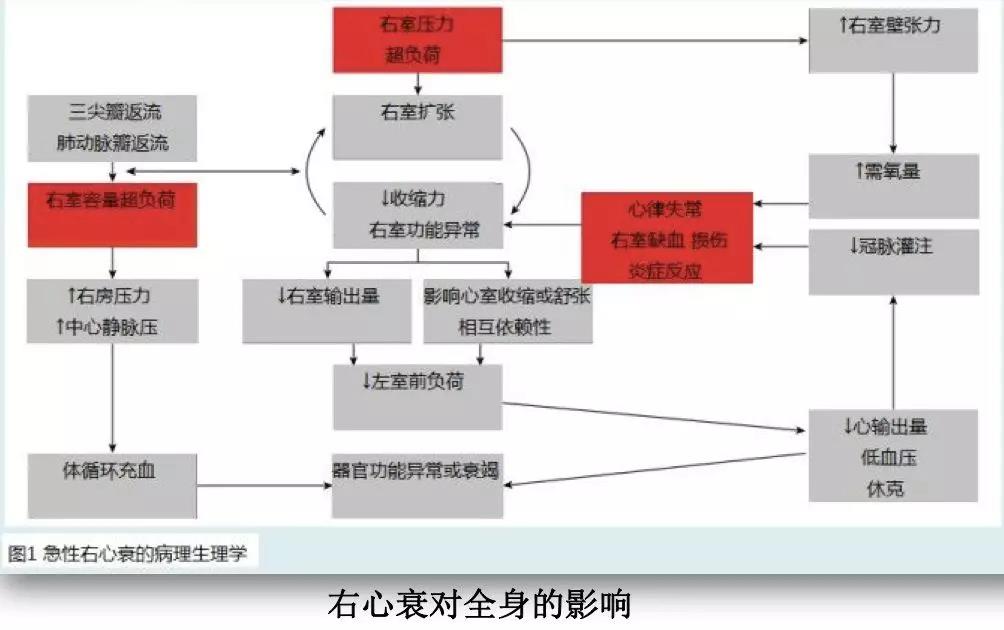 微信图片_20200720130112.jpg