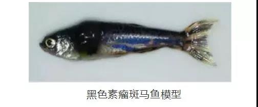 微信图片_20200903144429.jpg