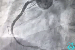 微信图片_20200713112658.gif
