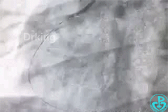 微信图片_20200713112655.gif