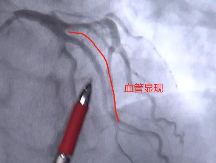 微信图片_20200825140301.jpg