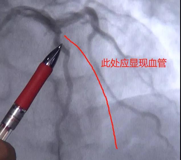 微信图片_20200825140259.jpg