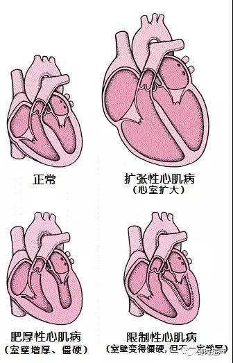 微信图片_20200706154729.jpg