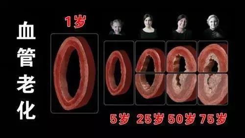 微信图片_20200821091257.jpg
