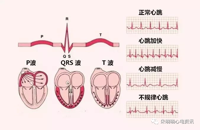 微信图片_20200811172355.png