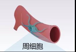 微信图片_20200826112318.jpg