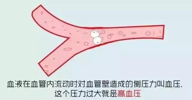 微信图片_20200907153638.jpg
