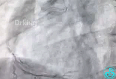 微信图片_20200713112653.gif