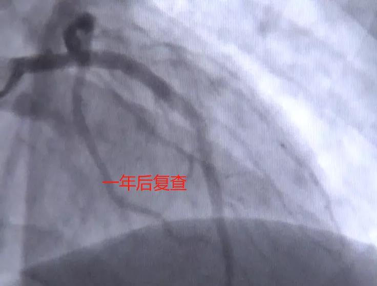 微信图片_20200825140257.jpg