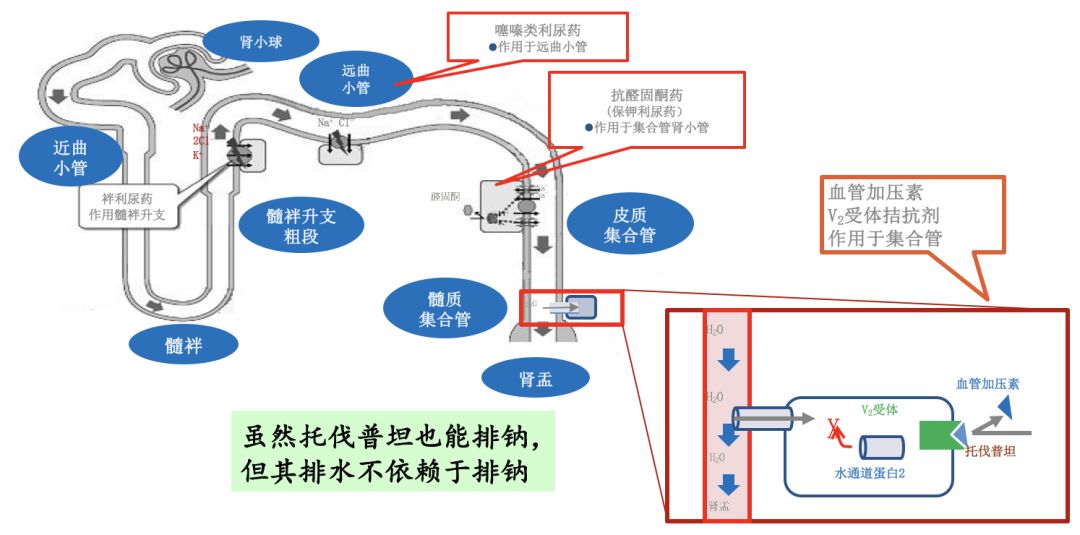 微信图片_20200720130143.jpg