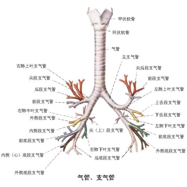 微信图片_20200915112806.jpg