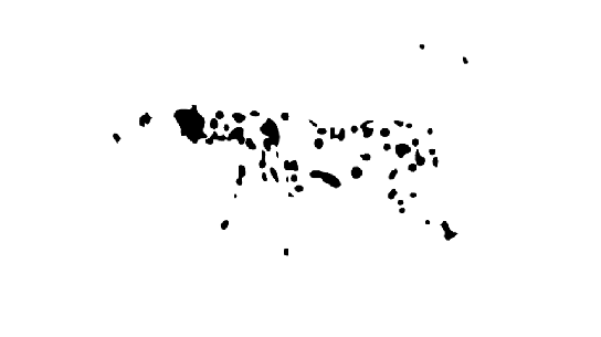 7.gif