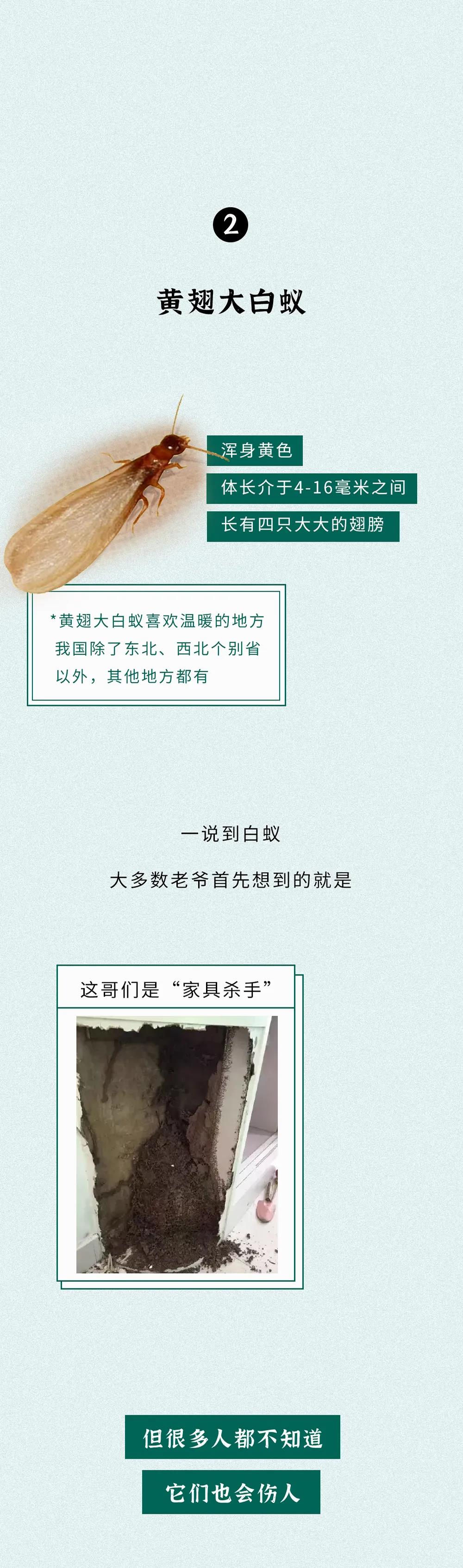 微信图片_20200531101140.jpg