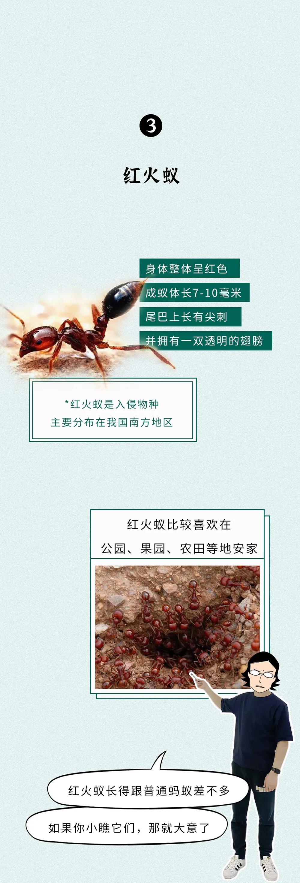 微信图片_20200531101236.jpg
