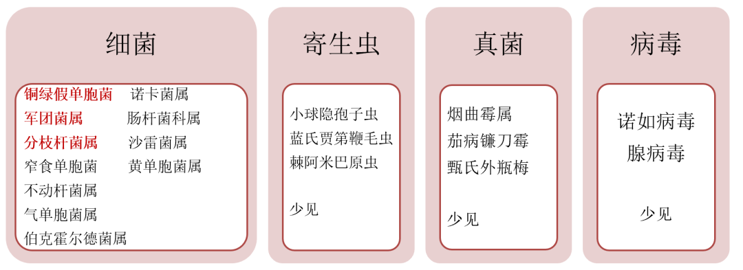 微信图片_20200910145255.png
