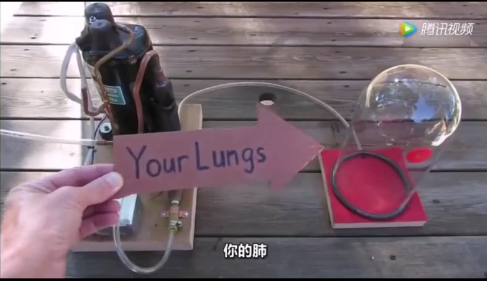 1590893812(1).png