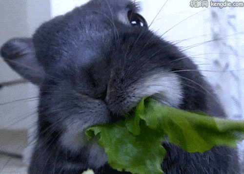 微信图片_20200609100610.gif