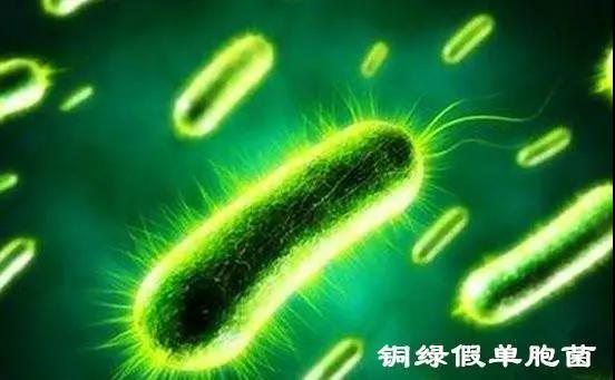 微信图片_20200910145258.jpg
