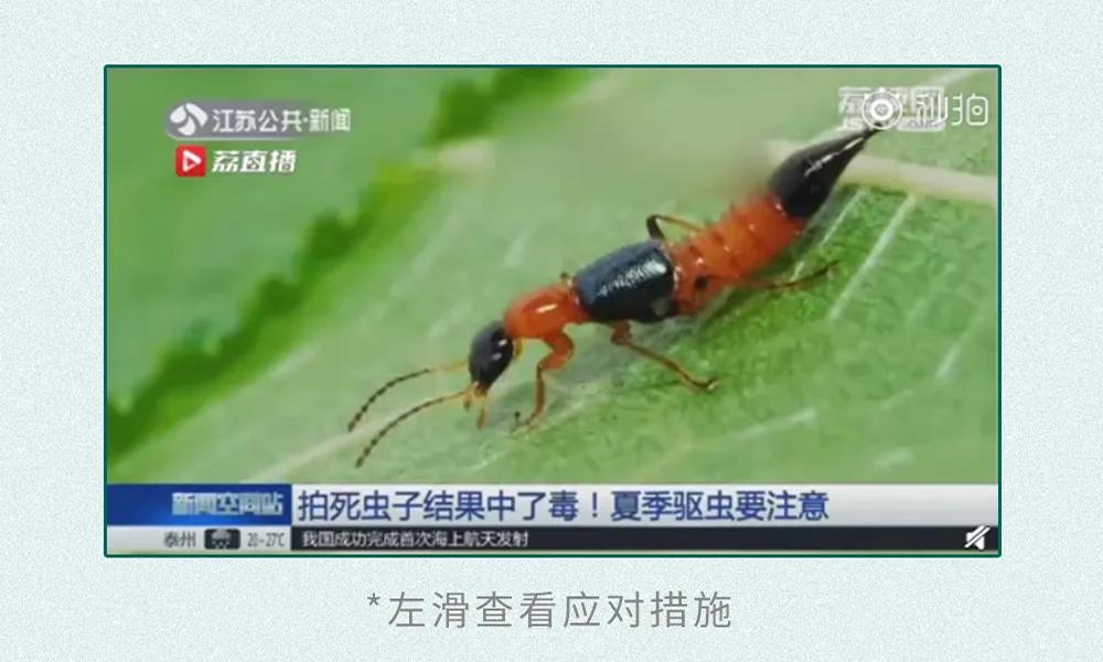 微信图片_20200531101127.jpg